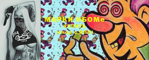 индика Аркадак