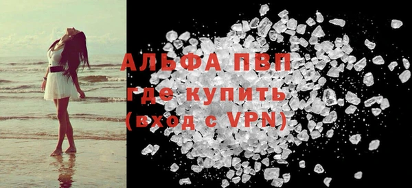 индика Аркадак