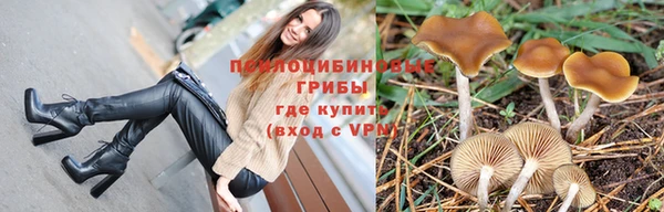 каннабис Бородино