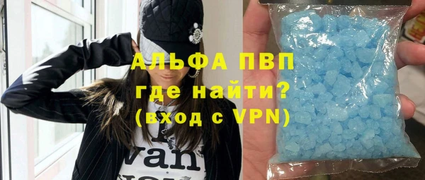 индика Аркадак